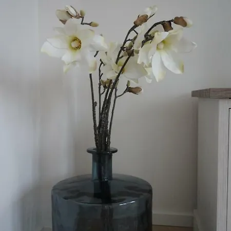 Mariakerke-bad Zeezicht *