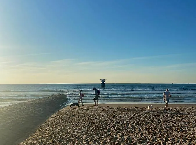 Mariakerke-bad Zeezicht 公寓 *