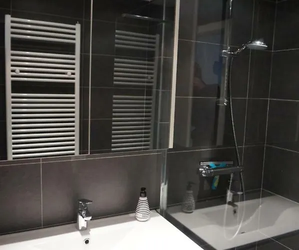 Mariakerke-bad Zeezicht 公寓