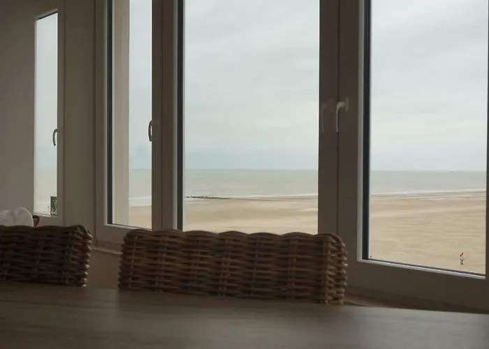 公寓 Mariakerke-bad Zeezicht *