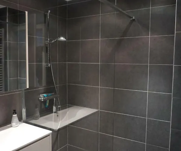 Mariakerke-bad Zeezicht 公寓 *